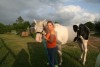 Horse for sale: Tequila Horse for sale: Tequila