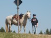 Horse For Sale: Lil Guy- Photo 1
