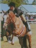 Horse for sale: Duly Noted