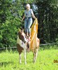 Boomer- Photo 2
