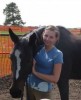 Horse for sale: Tranquility Horse for sale: Tranquility