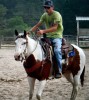 Horse for sale: jess Horse for sale: jess