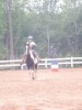 Horse for sale: Trophys Fancy Lady Horse for sale: Trophys Fancy Lady