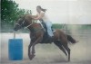 cee(sierra kilo bravo)- Photo 3