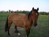 Maggie- Photo 2
