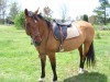 Maggie- Photo 3