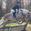 Dink- Photo 3