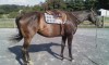 Lunabella- Photo 3