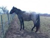 CATBALOU FLITWOOD- Photo 3
