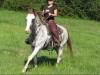 Air to Apache- Photo 3
