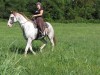 Air to Apache- Photo 2