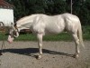 Rapped In White- Photo 2