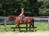 Horse For Sale: Shes A Belle Air- Photo 1