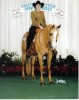 Horse For Sale: MISS GOLDY LEE- Photo 1