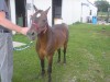 junior- Photo 2
