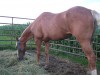 goldie- Photo 3