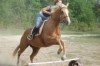 Breeze- Photo 2
