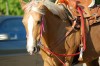 Breeze- Photo 3