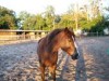 Belle- Photo 2