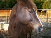 Belle- Photo 3