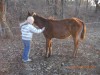 Tex- Photo 2