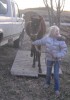 Tex- Photo 3