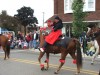 Horse For Sale: Pure Country Jam (Jazz)- Photo 1
