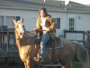 Horse For Sale: Peppys Gold Success- Photo 1