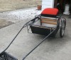 Horse SOLD: miniature show cart- Photo 1