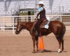 Horse For Sale: Savvys Twinklin Star- Photo 1