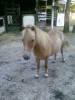 alvin- Photo 3