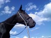 Lunabella- Photo 2