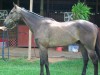 He Is A Prince- Photo 2
