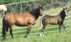 CHEX AND JAVEL- Photo 2