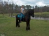 Teade- Photo 2