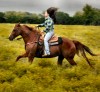 Horse For Sale: MS Impress Pep- Photo 1
