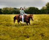 MS Impress Pep- Photo 2