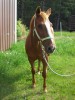 Dirty Daisy Mae- Photo 3