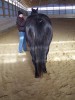 Moons Little Delight- Photo 3