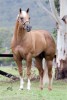 Tracy- Photo 2