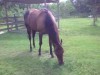 Cherokee- Photo 2