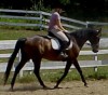 Orphy- Photo 2