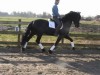 daimond- Photo 2