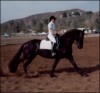 Horse For Sale: jenna- Photo 1