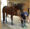 What About Mr Bob - Photo 2