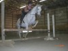 Carni Ends Well- Photo 3