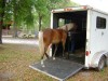 Ally's Moonlite Venture - Photo 2