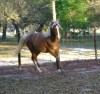 Ally's Moonlite Venture - Photo 3