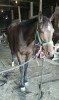 Childsgardnoverses- Photo 2