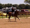 Last Command- Photo 2